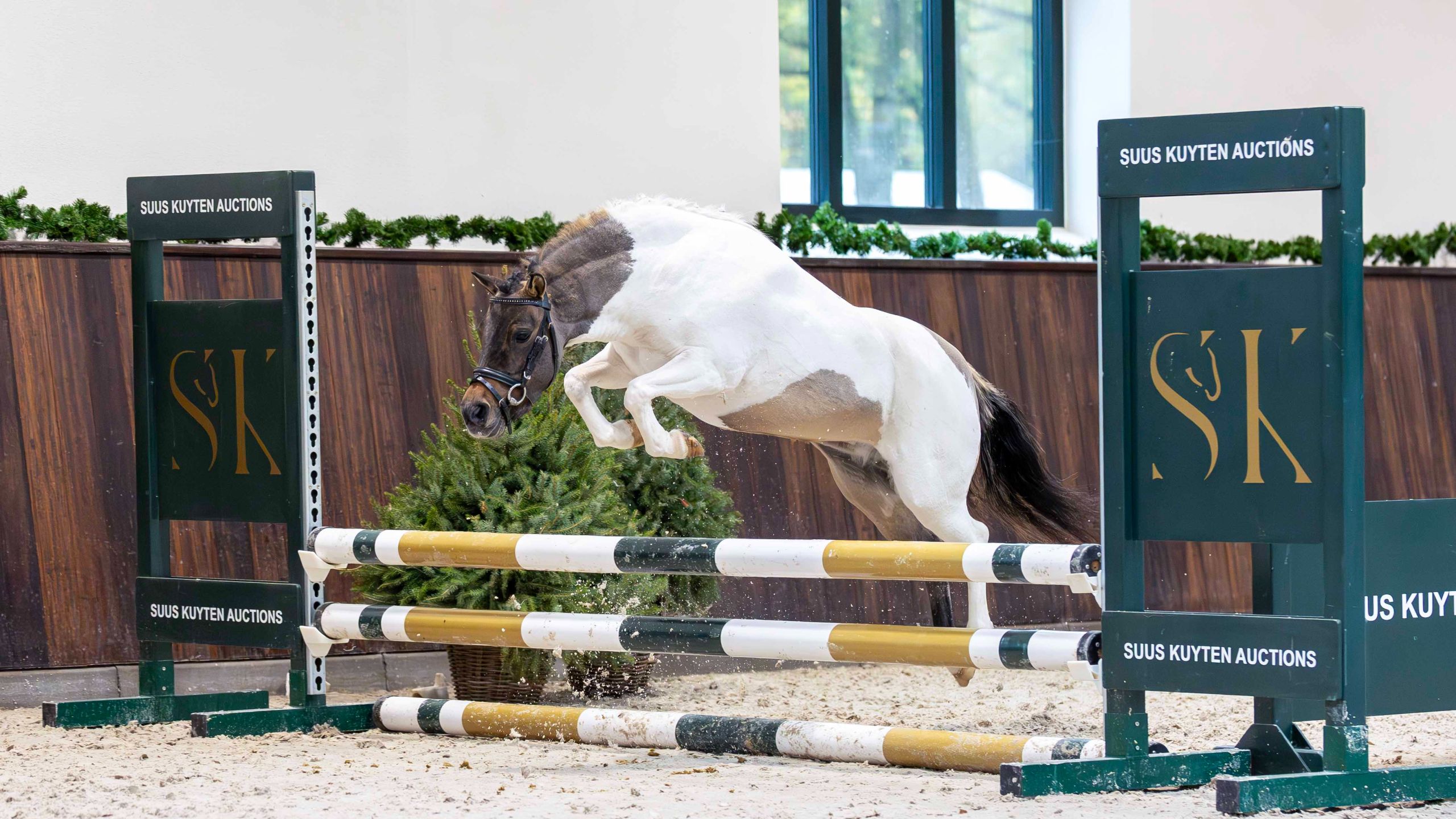 1d80a9d0-9dd3-4e7b-8f5a-623a7cc346b2